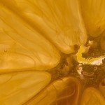 Lemon close-up