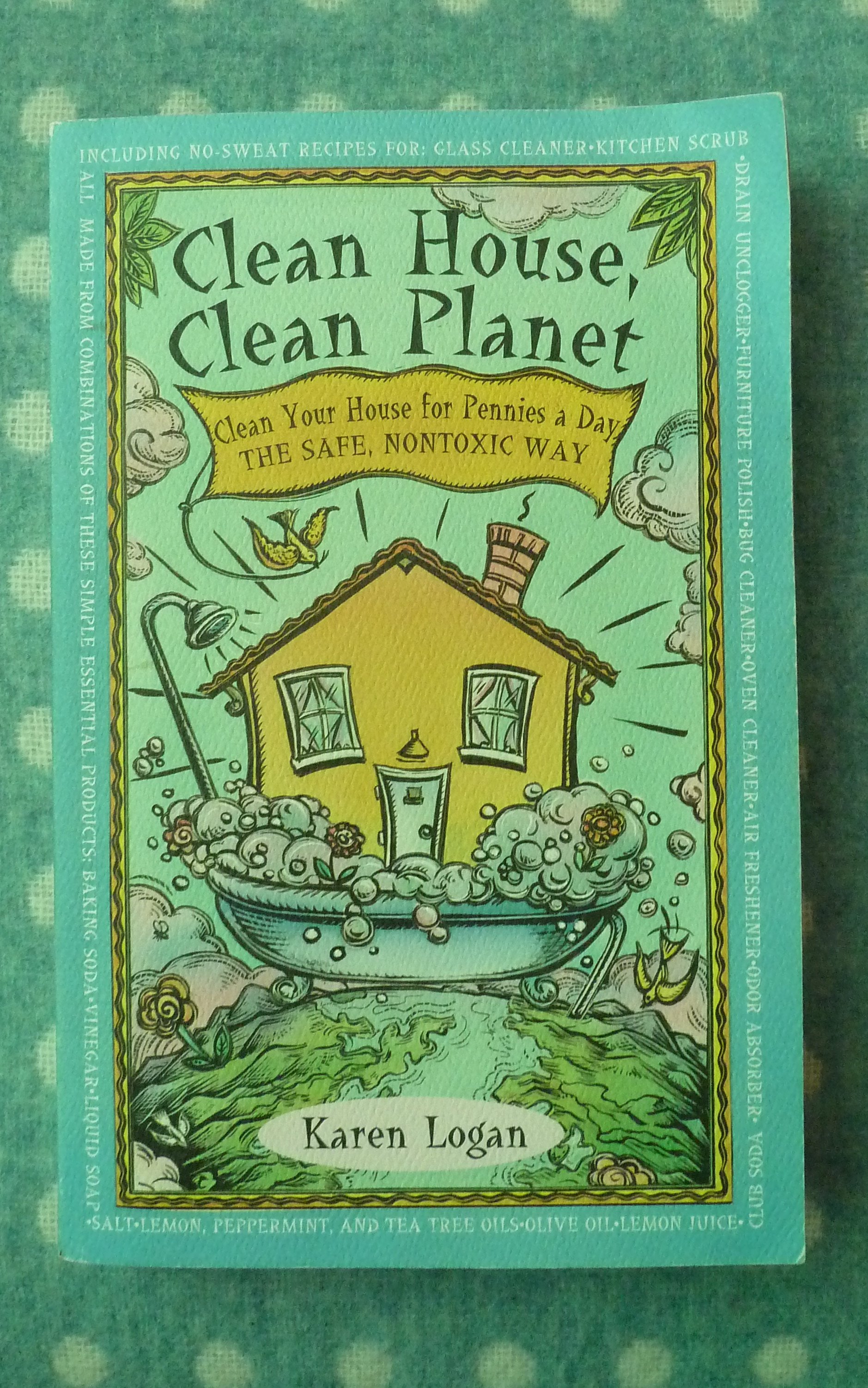 Review Clean House, Clean book